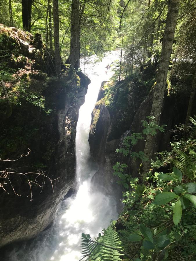 Kleine Ferienwohnung Am Rande Der Wildnis Sibratsgfäll Zewnętrze zdjęcie
