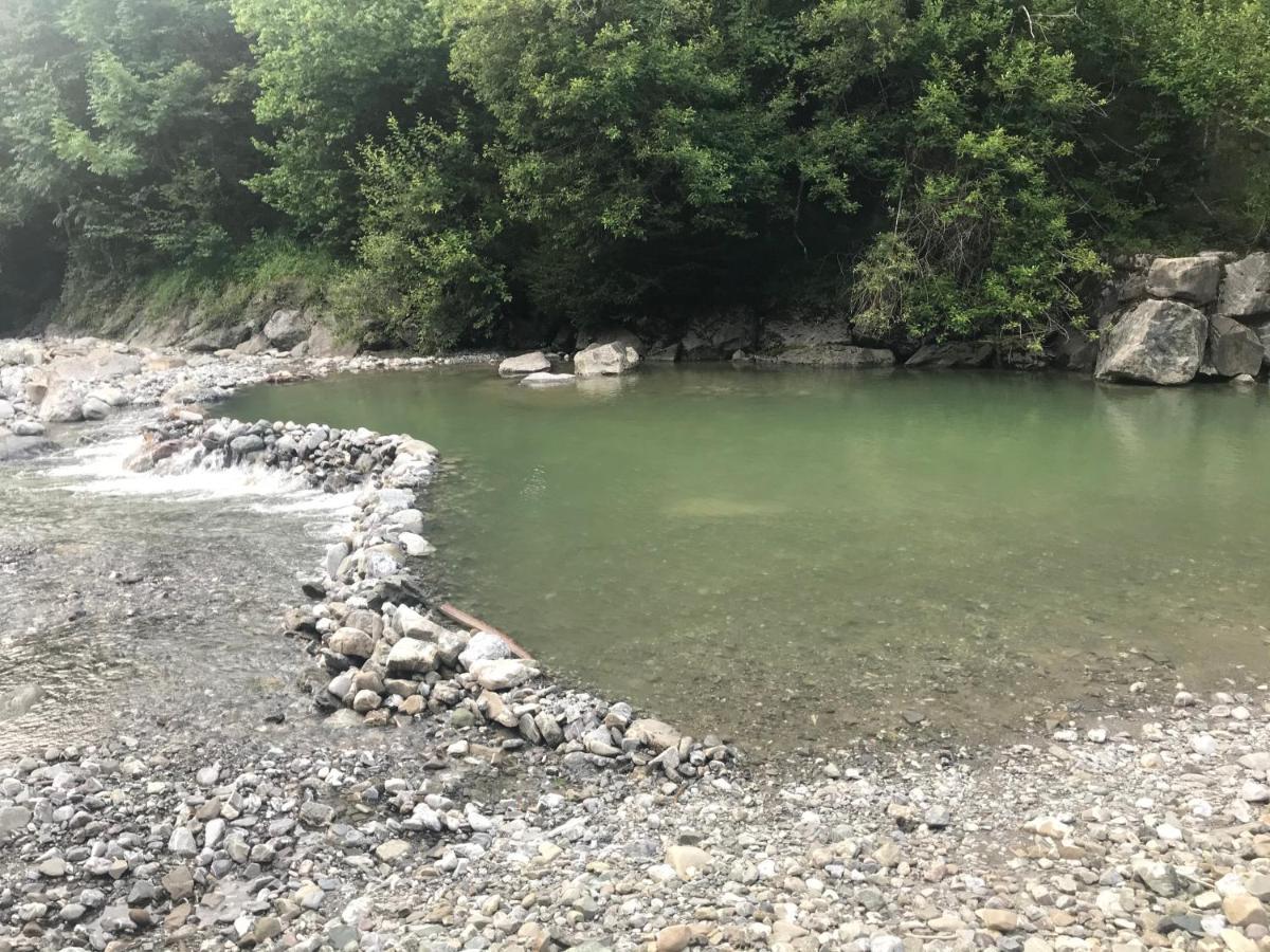 Kleine Ferienwohnung Am Rande Der Wildnis Sibratsgfäll Zewnętrze zdjęcie