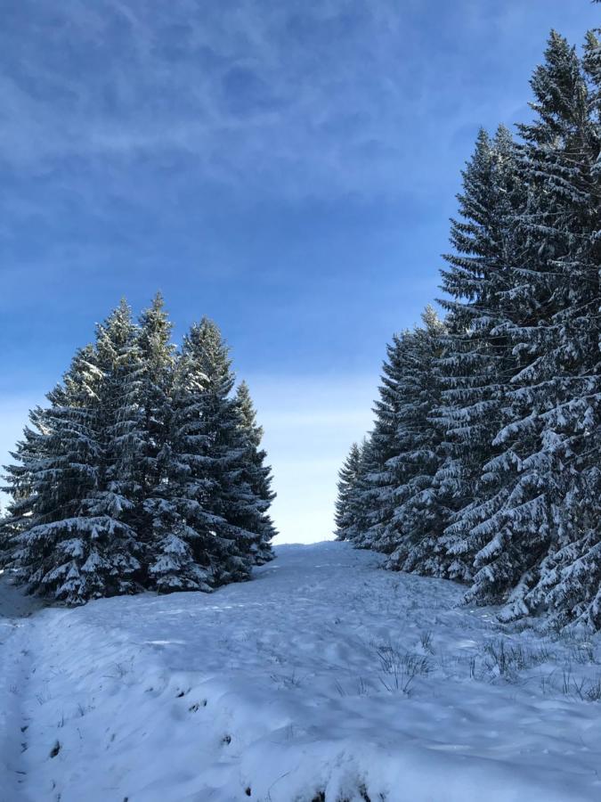 Kleine Ferienwohnung Am Rande Der Wildnis Sibratsgfäll Zewnętrze zdjęcie