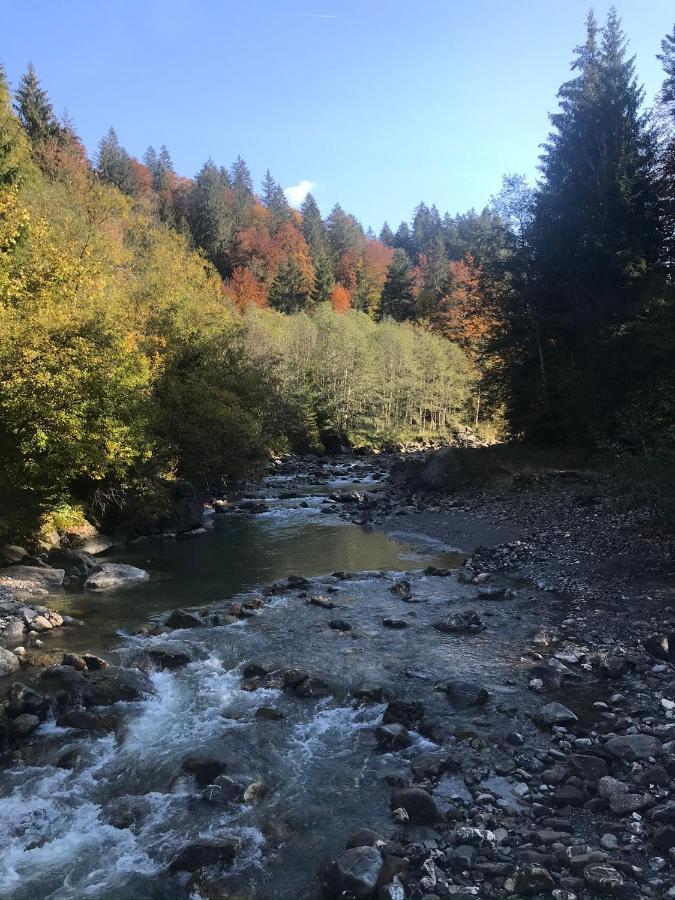 Kleine Ferienwohnung Am Rande Der Wildnis Sibratsgfäll Zewnętrze zdjęcie