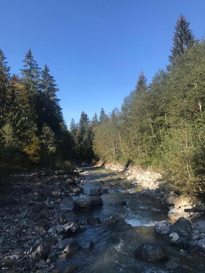 Kleine Ferienwohnung Am Rande Der Wildnis Sibratsgfäll Zewnętrze zdjęcie